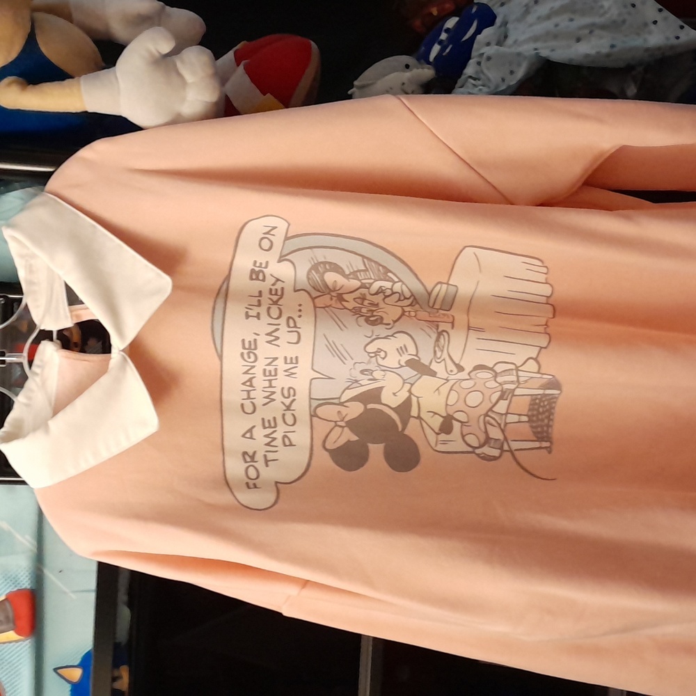 NW0T CakeWorthy X Disney Minnie Mouse Sweatshirt